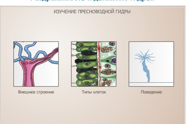 Kraken 14 at сайт