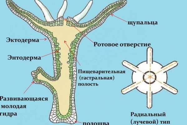 Kraken даркнет рынок ссылка