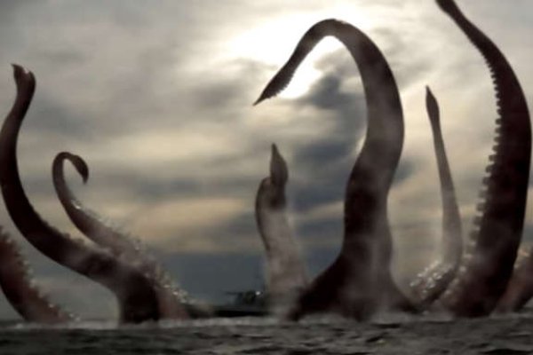 Kraken 19 at