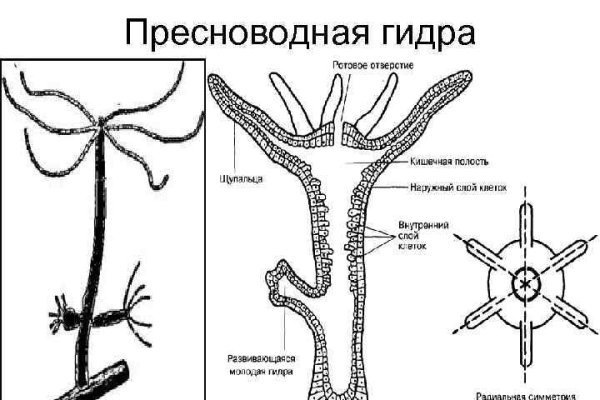 Сайт кракен россия