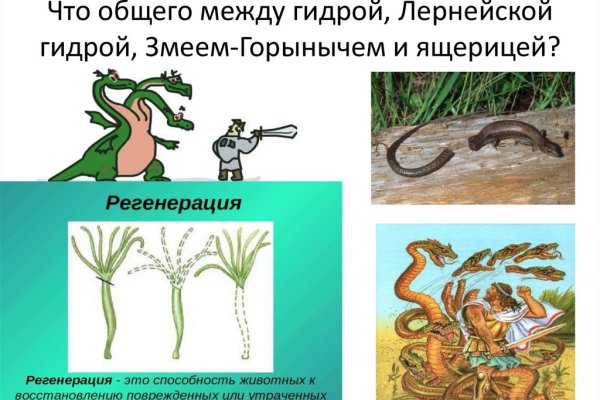 Актуальные ссылки кракен на 2025