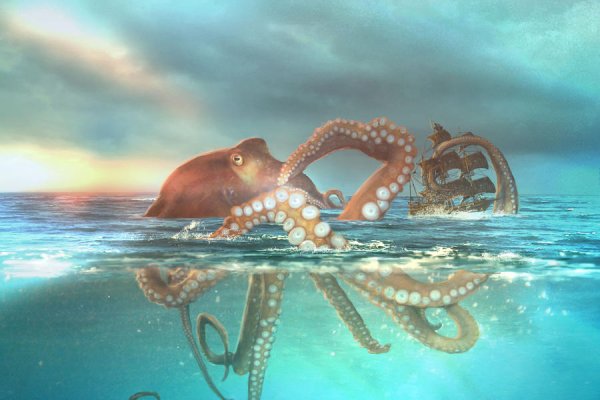 Kraken darknet зеркала