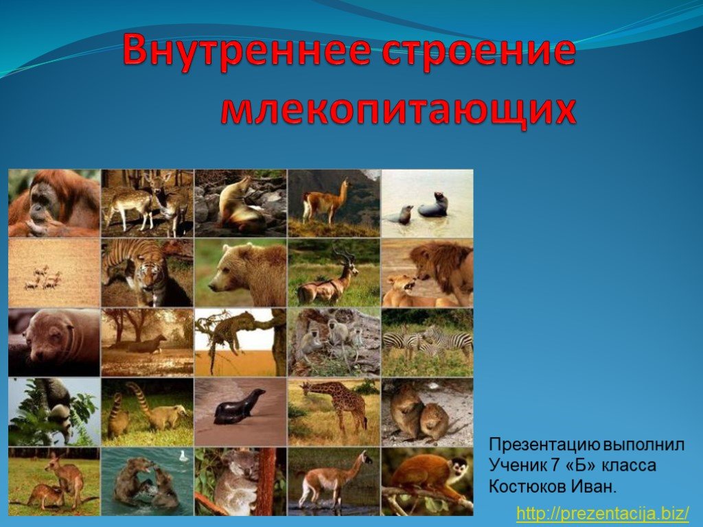 Кракен маркетплейс как зайти