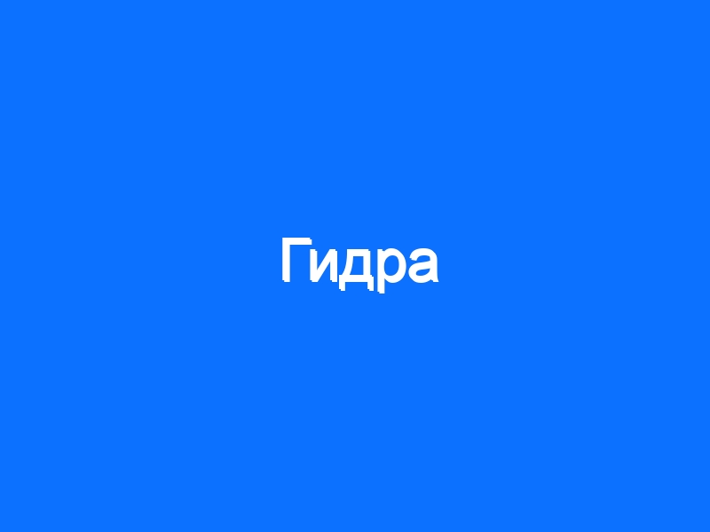 Кракен маркет даркнет только через тор скачать